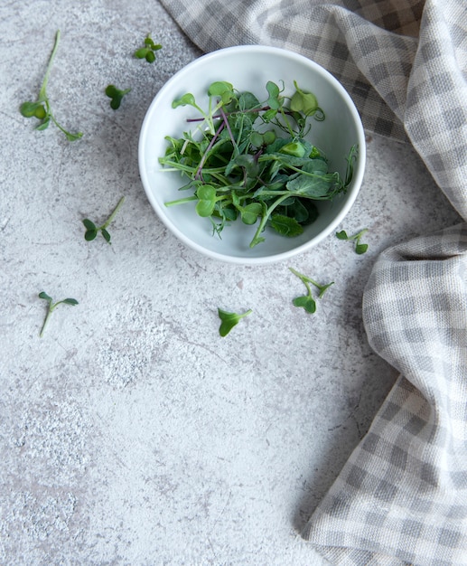 Nádoba s čerstvými bylinkami